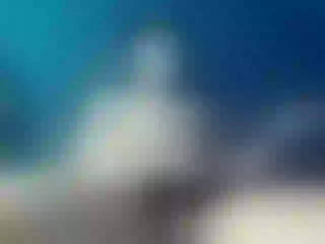 Live sex webcam photo for katenaimm #277382591