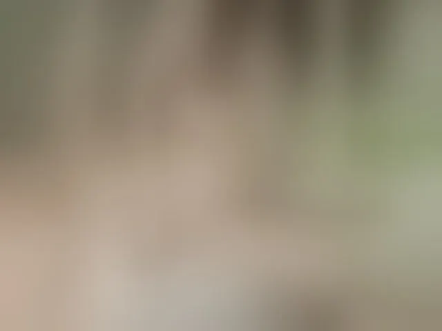 Live sex webcam photo for katerina-pre71 #293859711