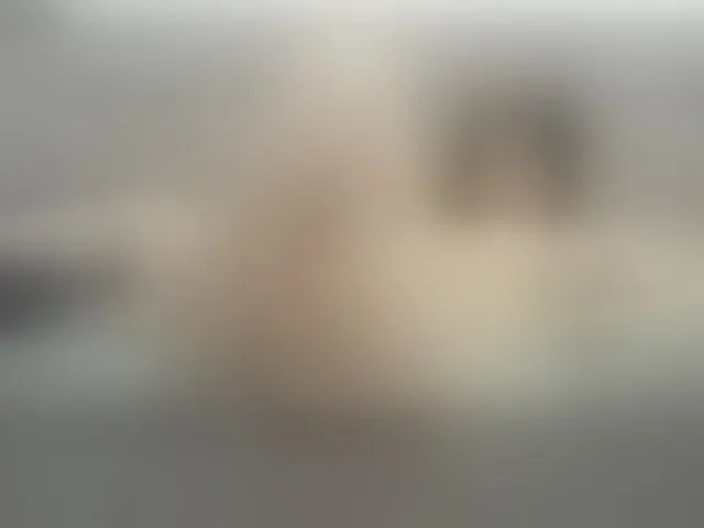 Live sex webcam photo for katrinadj #293256915