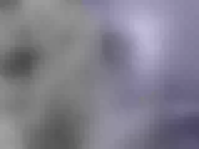 Live sex webcam photo for katta-SEXY #273294191