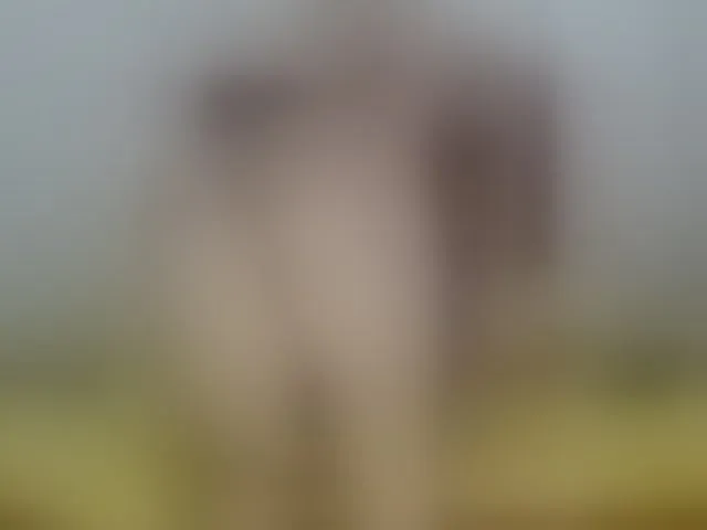 Live sex webcam photo for kattysex74 #292389922