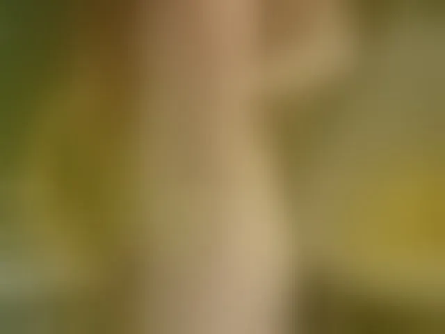 Live sex webcam photo for katy-ethereal #293391821