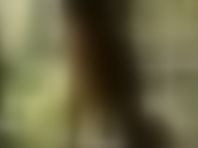 Live sex webcam photo for katy-ethereal #294298145