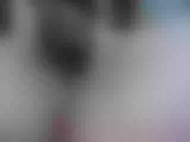 Live sex webcam photo for katycarter #272291324
