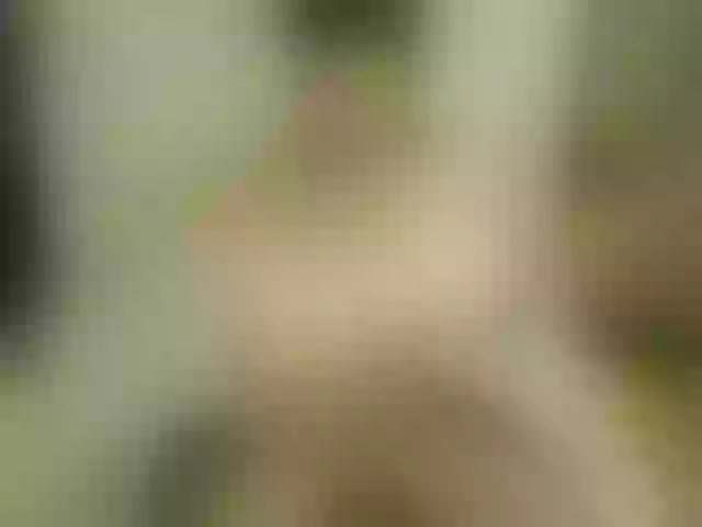 Live sex webcam photo for katypaz #273475897