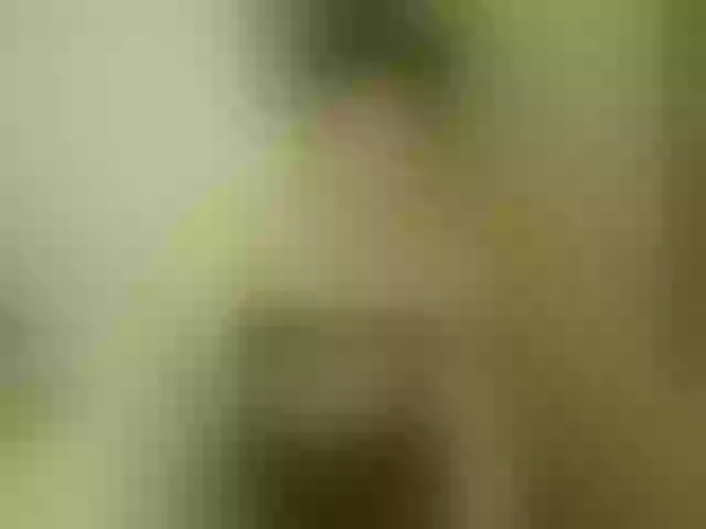 Live sex webcam photo for katypaz #273744054