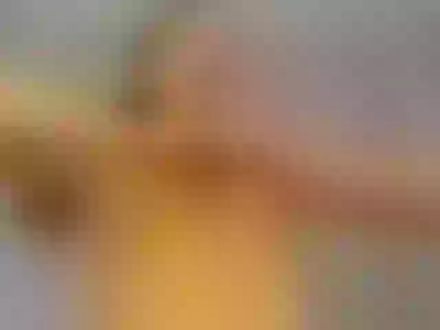 Live sex webcam photo for kaylalaine #275508505