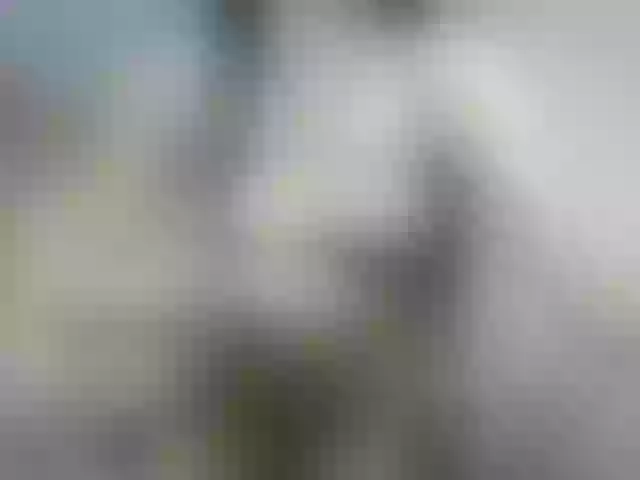 Live sex webcam photo for kaylalaine #277178232