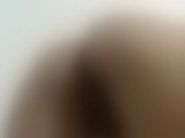 Live sex webcam photo for ke-moll #293293198