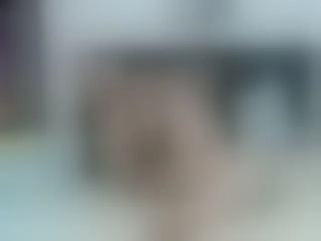 Live sex webcam photo for keyla01 #293168104