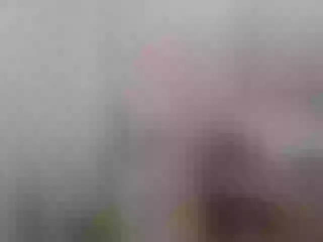 Live sex webcam photo for khim052630 #292040871
