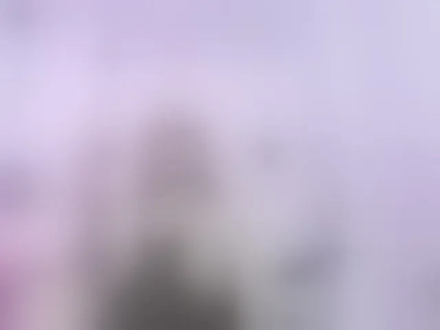 Live sex webcam photo for kim-edwards #292818445
