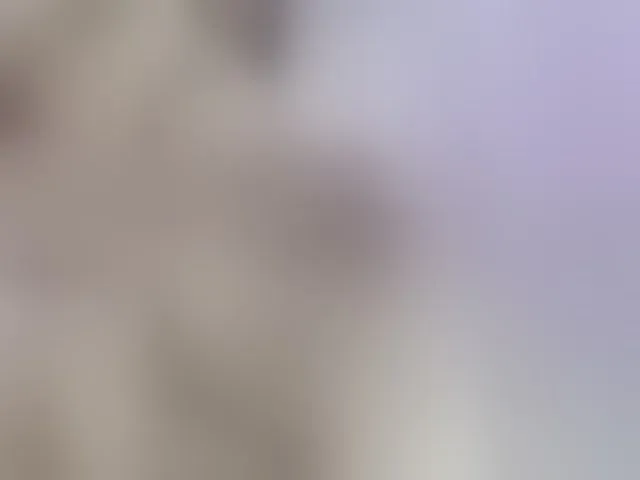 Live sex webcam photo for kim-edwards #293089603
