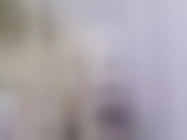 Live sex webcam photo for kim-edwards #293129297