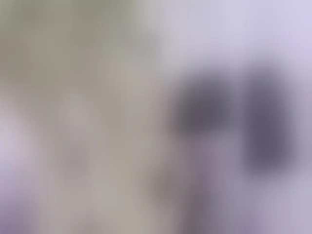 Live sex webcam photo for kim-edwards #293369543