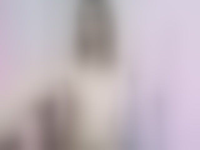 Live sex webcam photo for kim-edwards #294128581