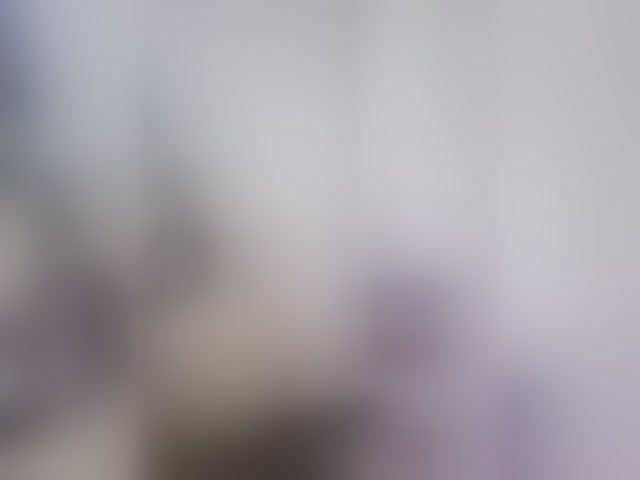 Live sex webcam photo for kim-edwards #294333070