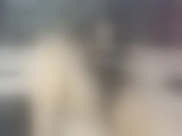 Live sex webcam photo for kim-marquez #293598307