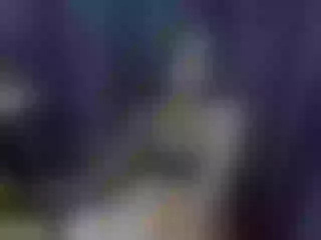 Live sex webcam photo for kimalissa #291142084