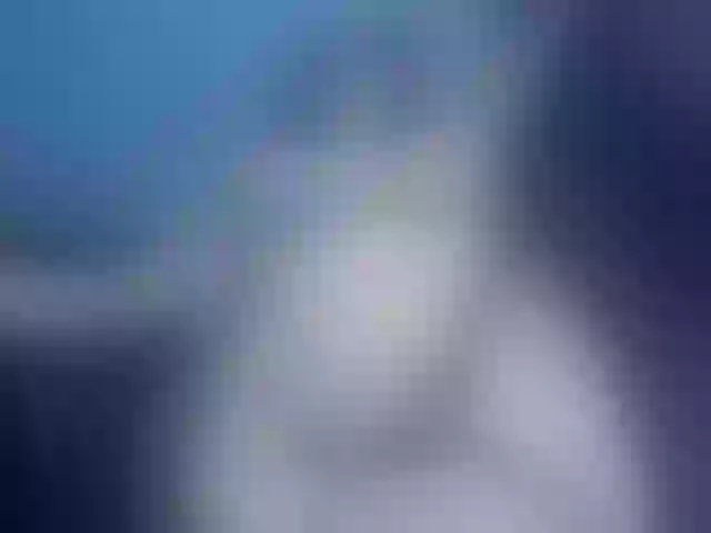 Live sex webcam photo for kimalissa #291524953