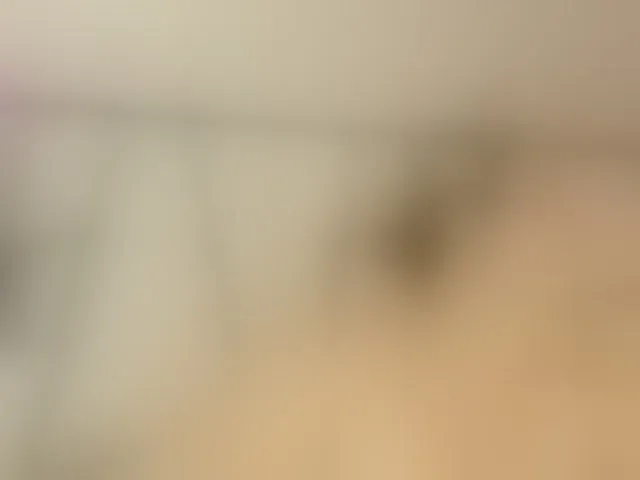 Live sex webcam photo for kimberlydaring #292632922