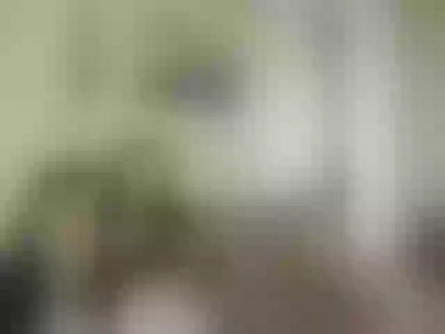 Live sex webcam photo for kissmabont #290452443