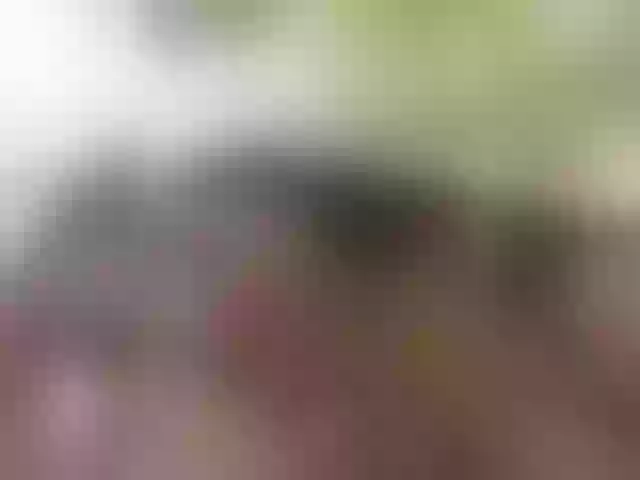 Live sex webcam photo for kissmabont #291707804