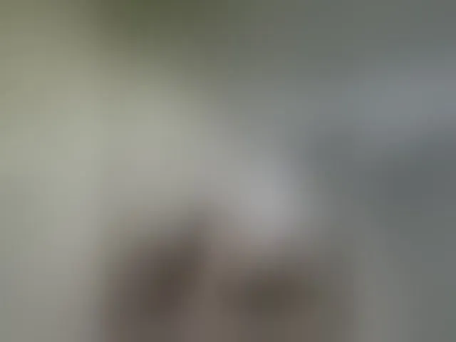 Live sex webcam photo for kissmabont #292560707