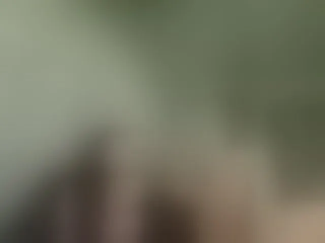 Live sex webcam photo for kissmabont #292852105