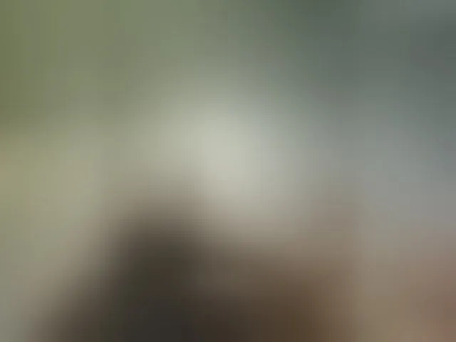 Live sex webcam photo for kissmabont #292949498