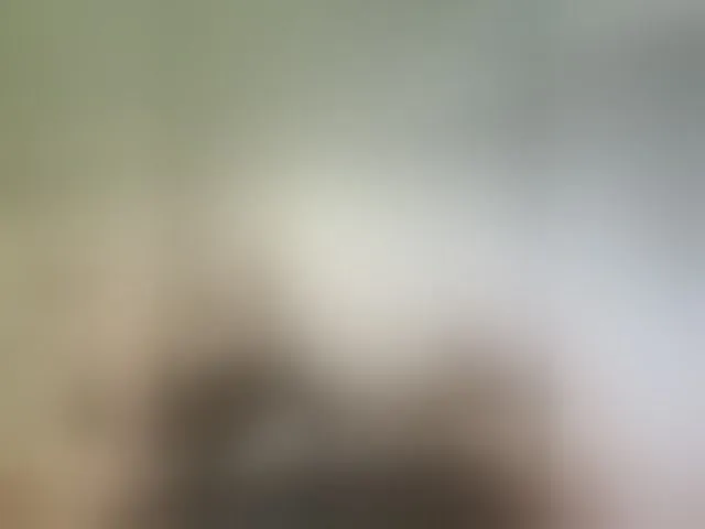 Live sex webcam photo for kissmabont #292961639