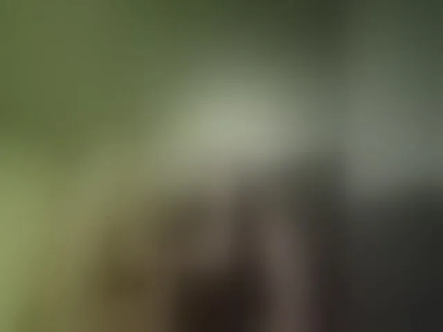 Live sex webcam photo for kissmabont #293095549