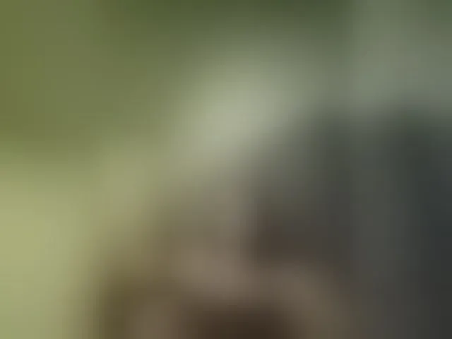 Live sex webcam photo for kissmabont #293373809