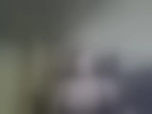 Live sex webcam photo for kissmabont #293454836