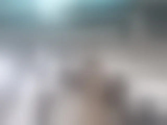 Live sex webcam photo for kissmabont #294142263