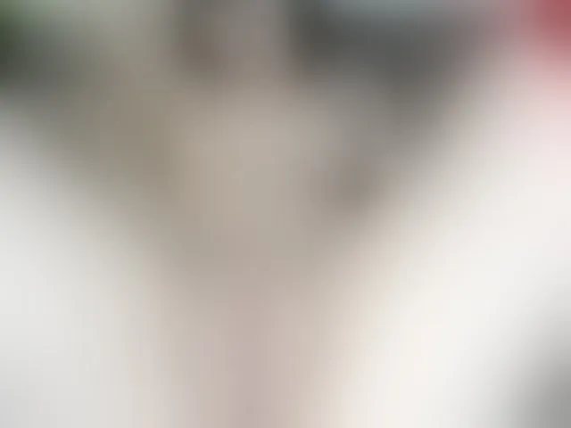 Live sex webcam photo for kisssiiik #293713041