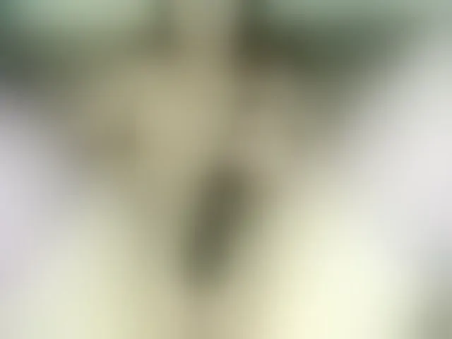 Live sex webcam photo for kisssiiik #293734248