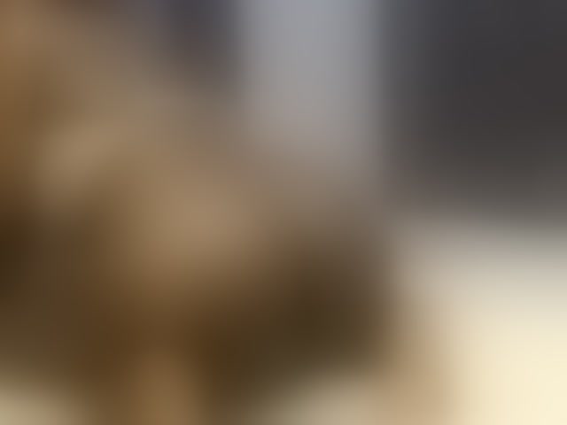 Live sex webcam photo for kissytrouble #294151751