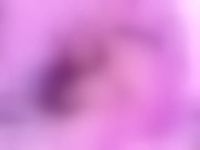 Live sex webcam photo for kitty-wine #293440886