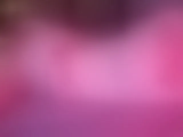 Live sex webcam photo for kivi- #294096103