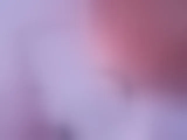 Live sex webcam photo for kiwi----- #293558667