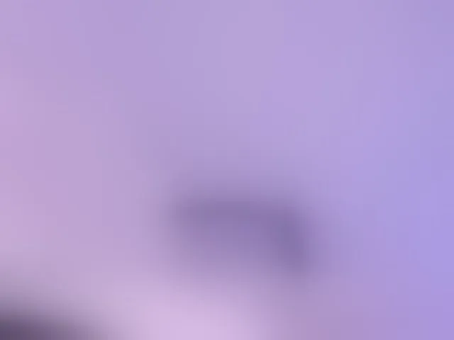 Live sex webcam photo for kiwi----- #293629848