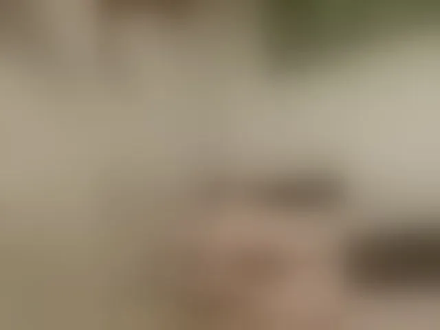 Live sex webcam photo for krashihayourheart #293698544