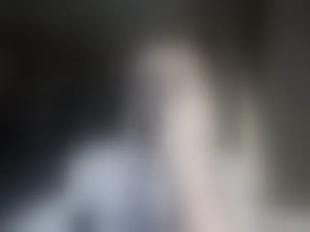 Live sex webcam photo for krisss2016 #292611252