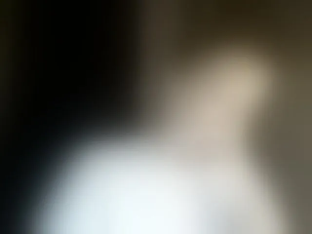 Live sex webcam photo for krisss2016 #293066110