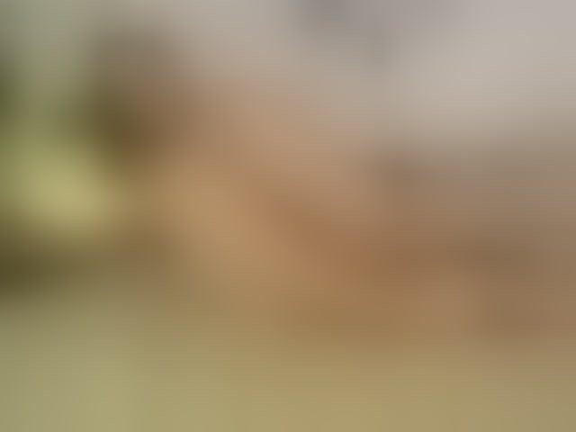 Live sex webcam photo for l1ttle-kiki #294321207
