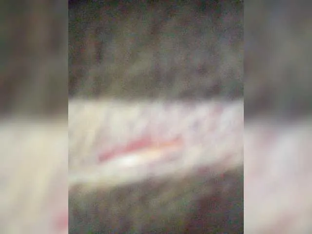 Live sex webcam photo for lady-Nicol #276491783