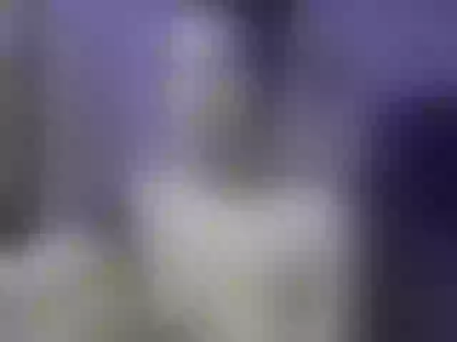 Live sex webcam photo for lady-rd #277790838
