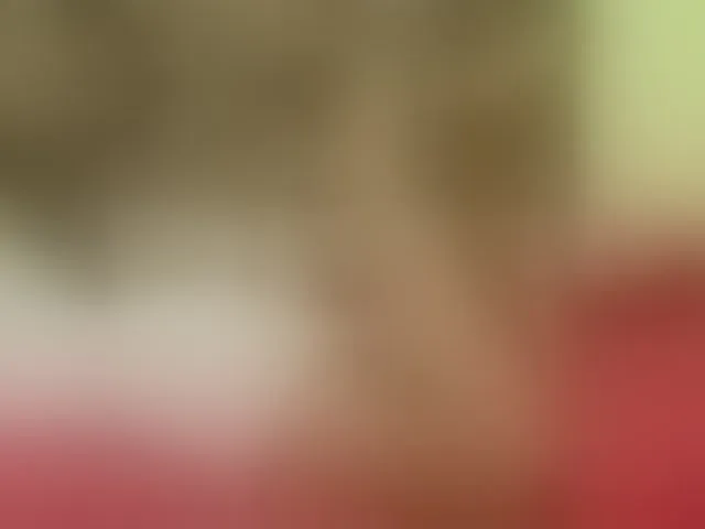 Live sex webcam photo for ladybigsmile
