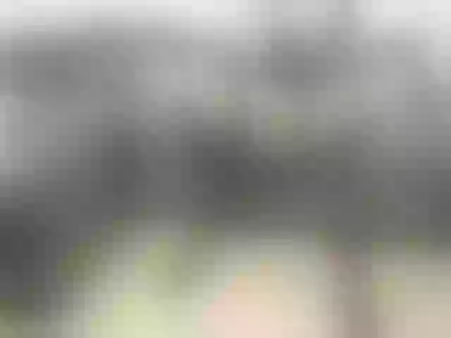 Live sex webcam photo for ladysquirt89 #277330208